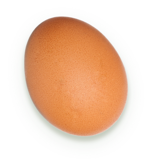 Brown Egg