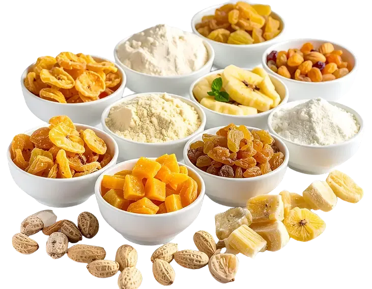 Spray Dried  Fruit Powders - Category image