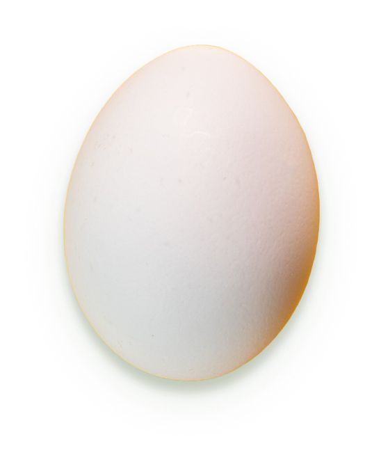 White Egg